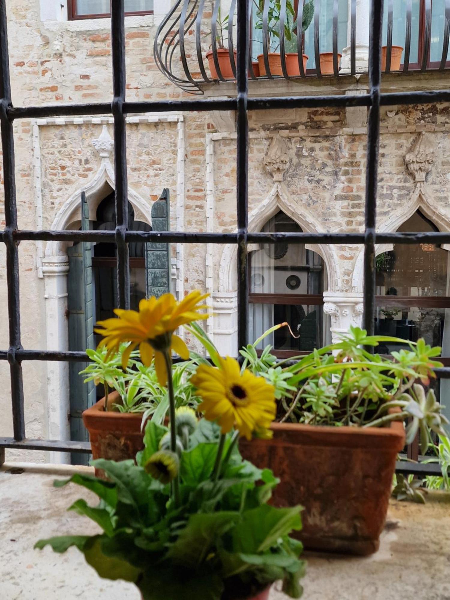 Ca Barbaro With Altana-appartamenti Storici- Venise